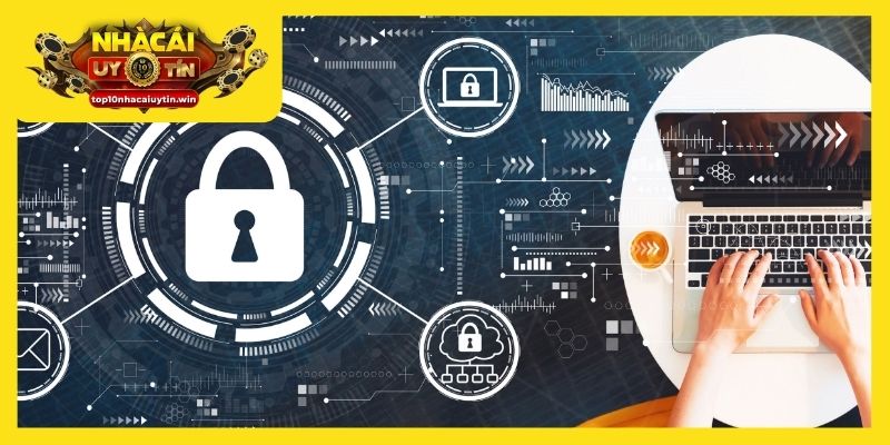 Nhà cái uy tín thu thập thông tin theo nguyên tắc